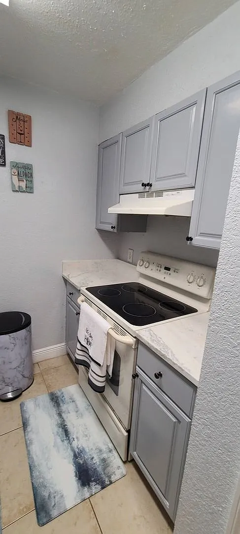 Charming 1BR Condo in Tampa — Photo 2