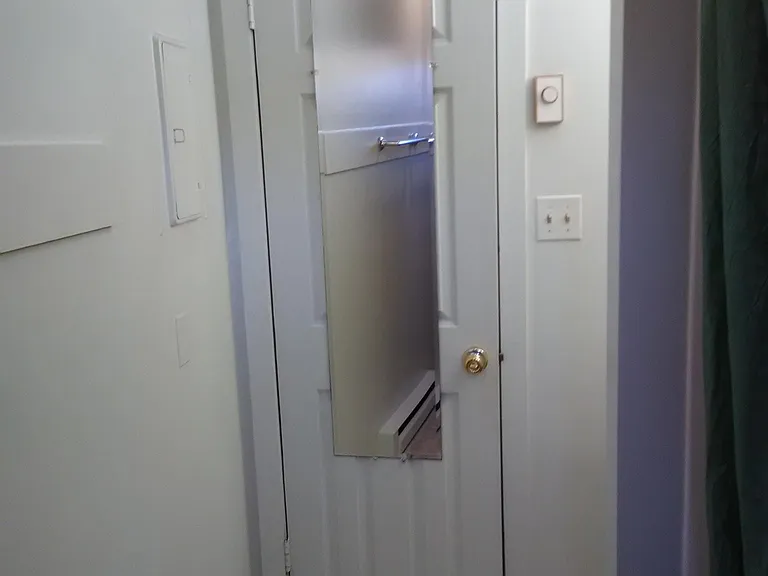 Mirrored bathroom door