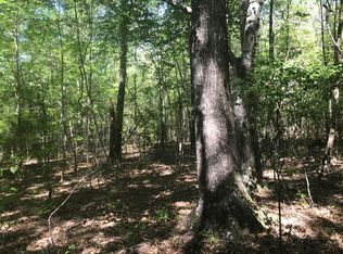 6 Thomas Richard Ln, Hattiesburg, MS 39401