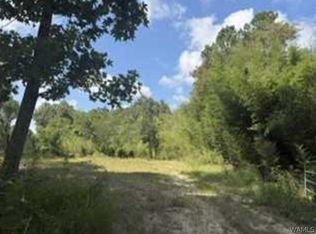 1341 Copeland Buckatunna Rd, Millry, AL 36558