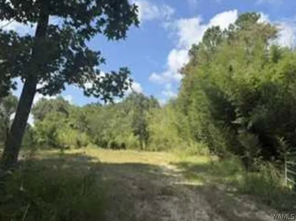 1341 Copeland Buckatunna Rd, Millry, AL 36558