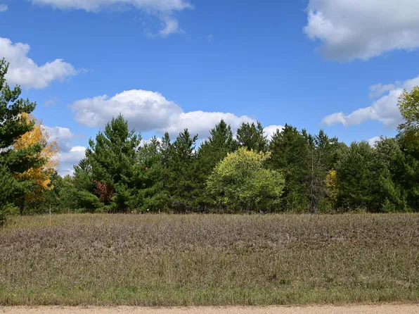 Tbd Oak Dr, Browerville, MN 56438