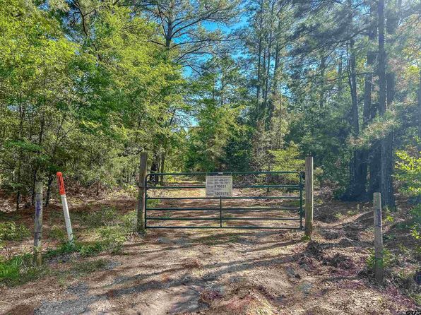 County Road 4814, Ben Wheeler, TX 75754