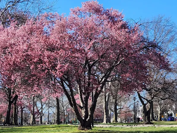 195 Winfield Avenue image 1 of 20