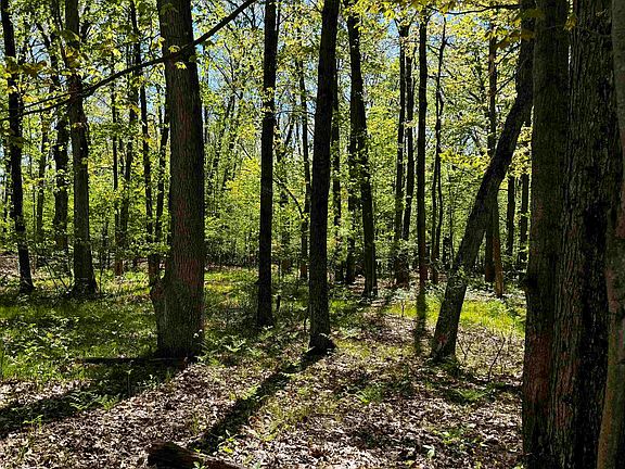 5th image of 4950 Squirrel Run