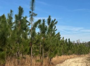 268 Bunyon Davis Rd, Millwood, GA 31552