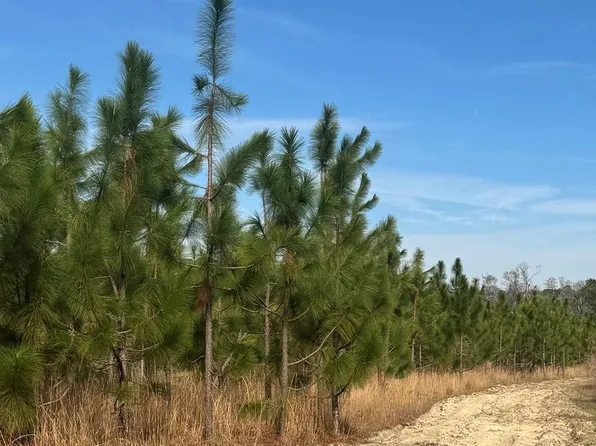 268 Bunyon Davis Rd, Millwood, GA 31552