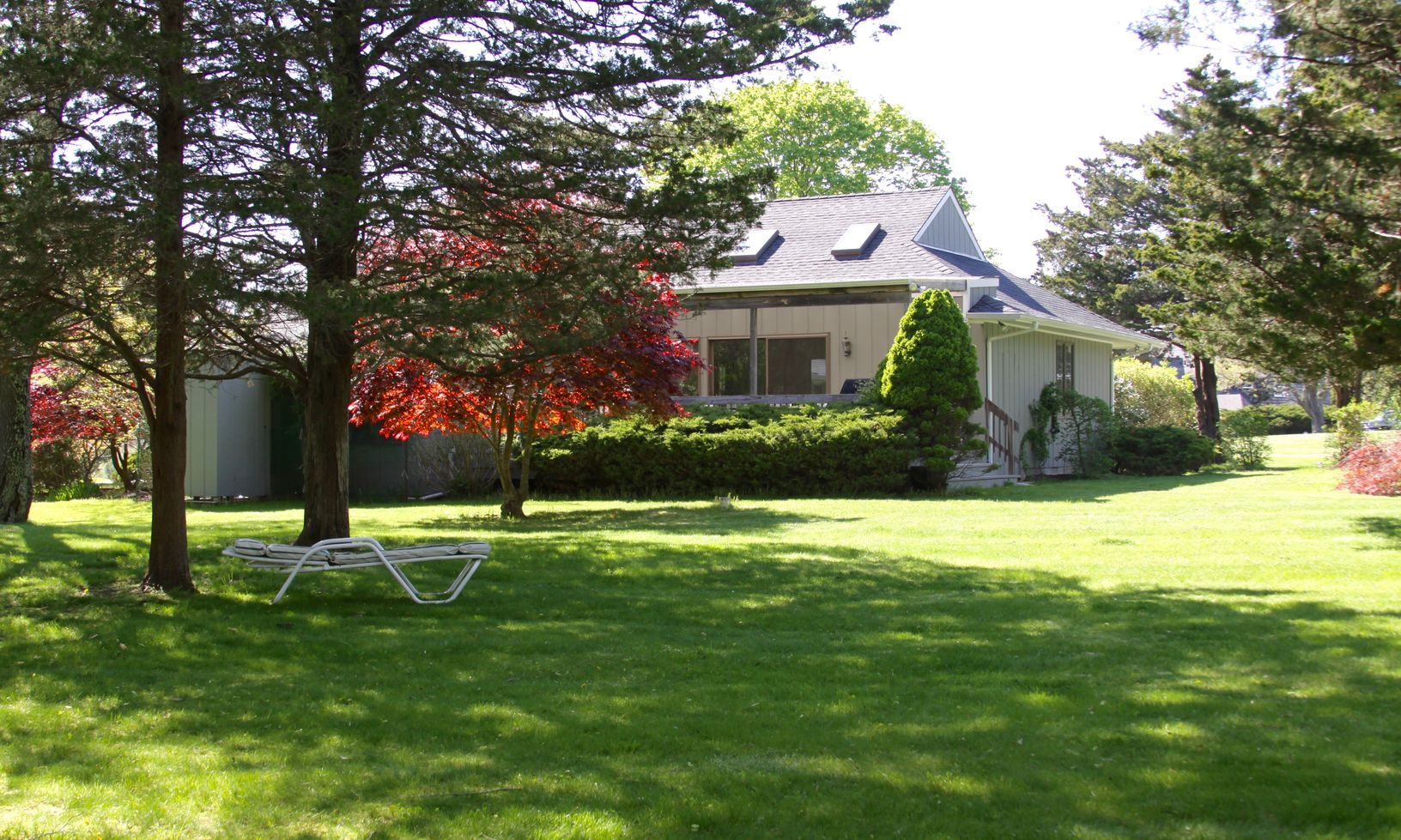  Back exterior
