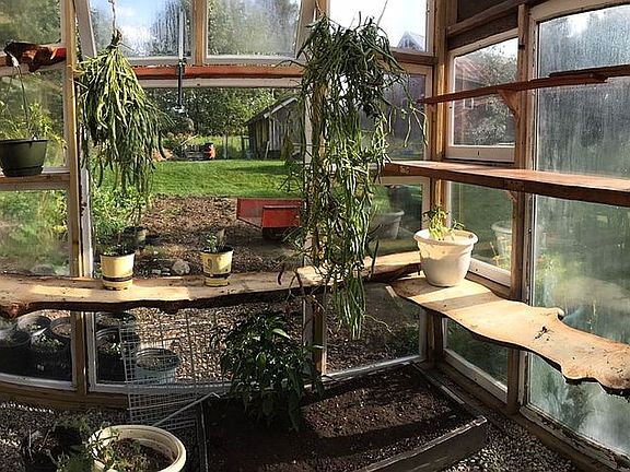 inside the greenhouse