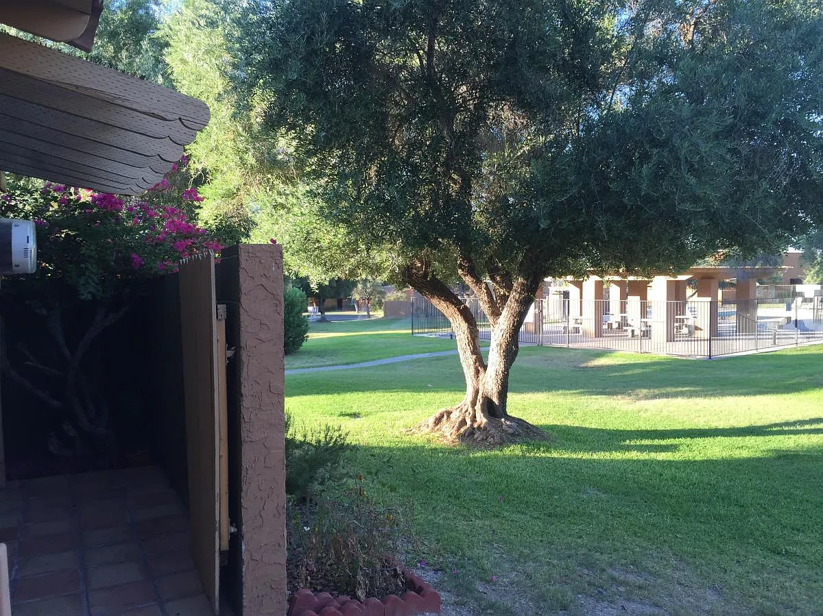 2 bed, 1.5 bath, 882 sqft, $1,500 — Photo 4