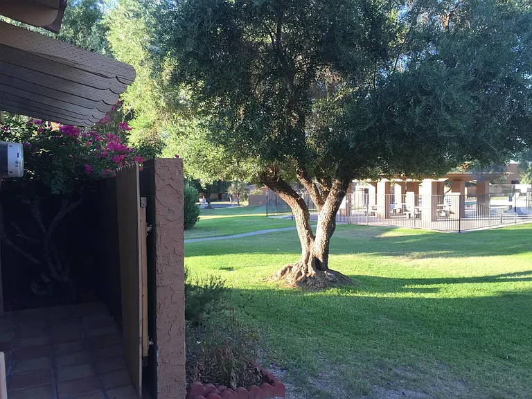 809 E Cochise Dr — Photo 4