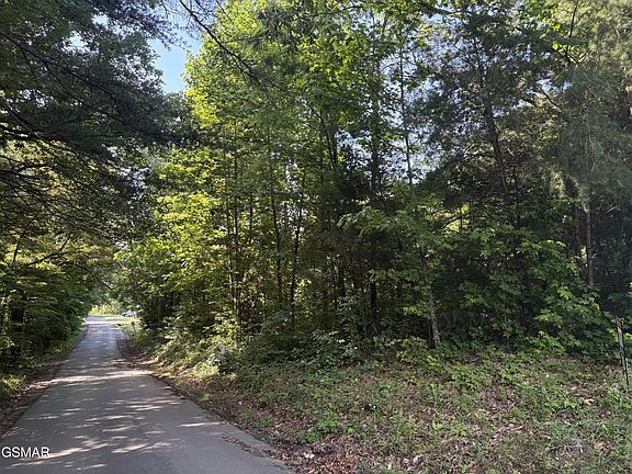 4th image of 6 Shiner Run Dr Lot 6