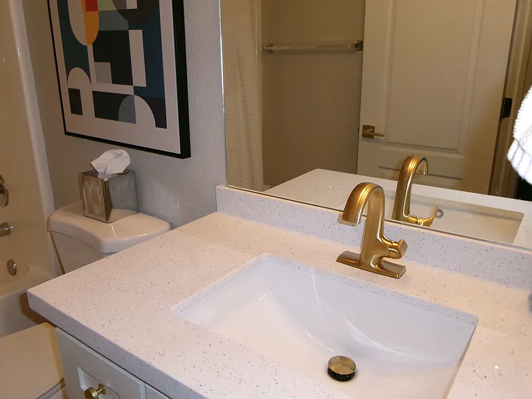 New gold faucets