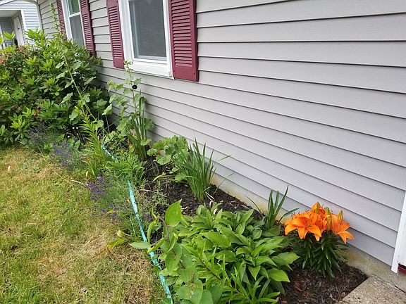 Spring view