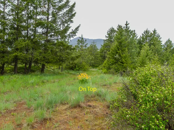 2420 Cedonia Addy Rd #A, Addy, WA 99101