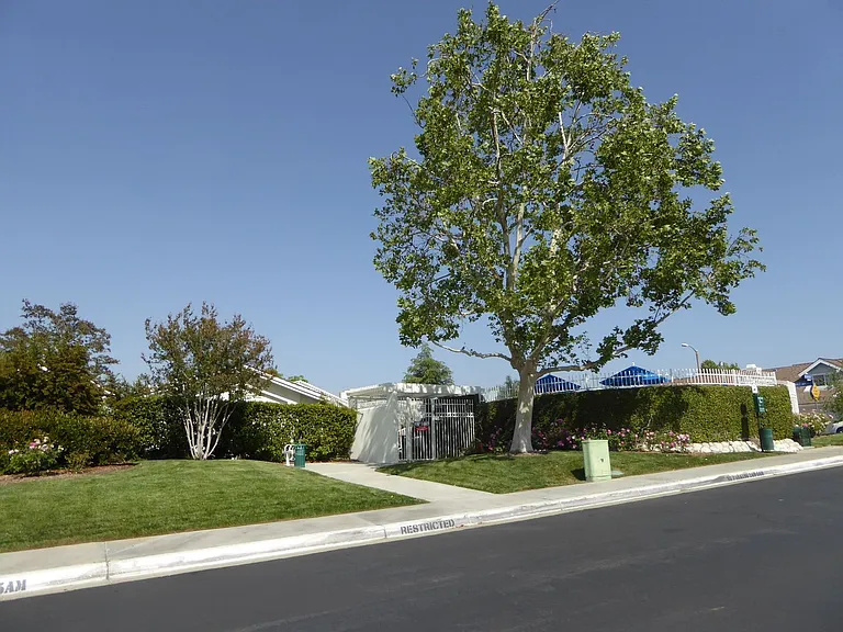 24022 Rockridge Ct — Photo 21