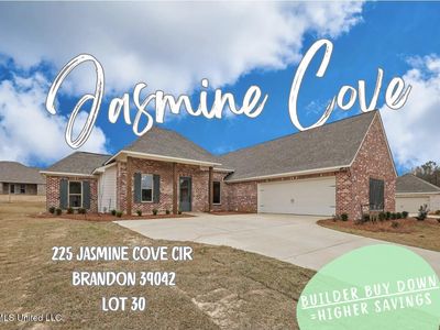 225 Jasmine Cove Cir, Brandon, MS, 39042