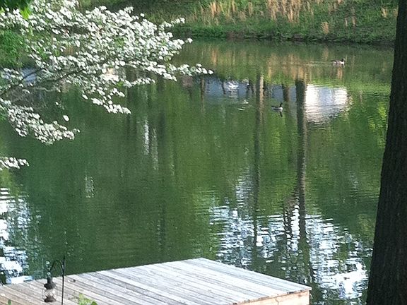 Fishing Pier