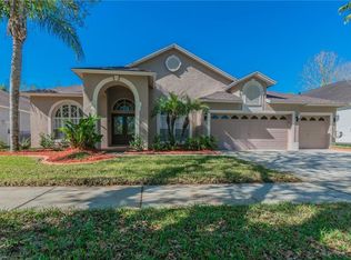 19325 Wind Dancer St, Lutz, FL 33558