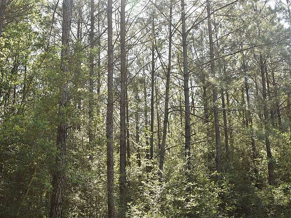 4th image of Oceola Rd