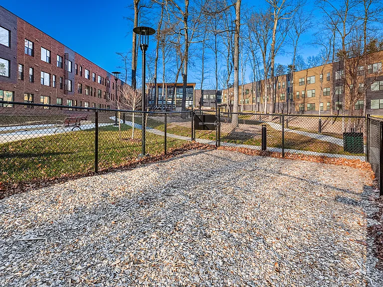 The Lodge at Autumn Willow 55+ Apartment Homes — Photo 21