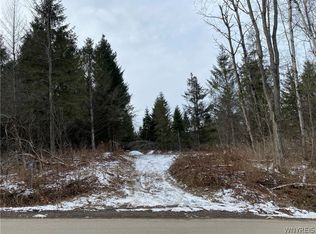 7101 Simmons Rd #18, Ellicottville, NY 14731