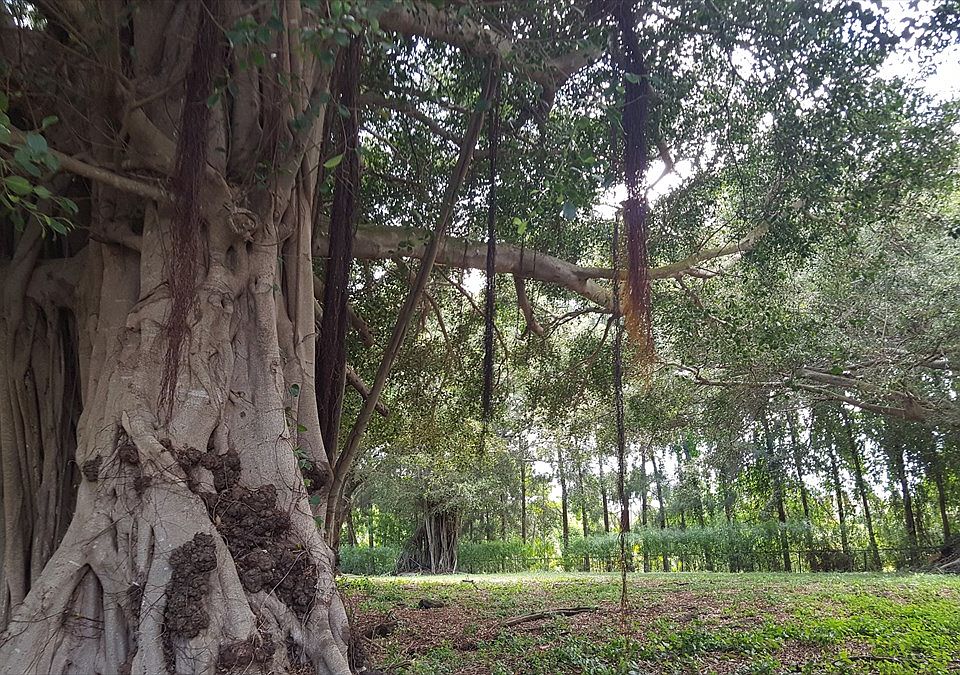 2nd image of 3036 Pua Akala Pl Lot 48