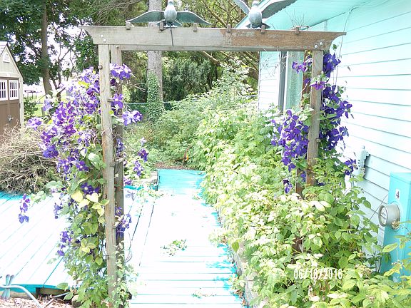 Boardwalk back of house