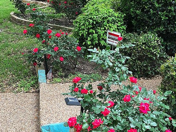 Front yard