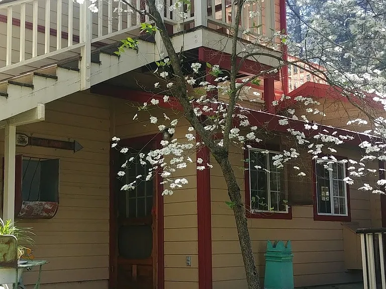 5030 Newtown Rd — Photo 24