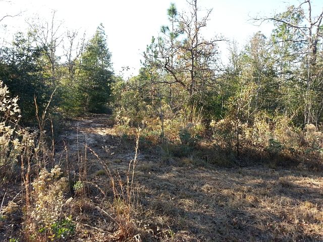 2nd image of 11628 Scott Rd
