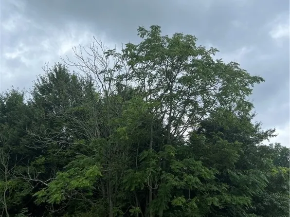 4965 Dutch Ridge Rd Lot 3, Beaver, PA 15009