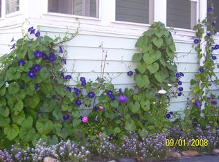 81 Winter St, Rochester, NH 03867