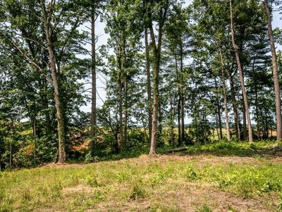 0 Piney Woods Rd, Timberville, VA, 22853