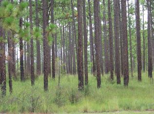35 Acres Flowing Well Rd, Aiken, SC 29805
