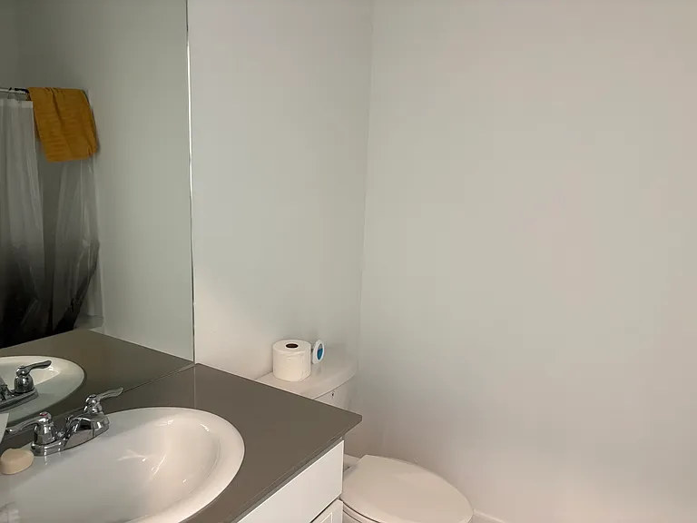 Guest Bathroom. One in front of laundry room.