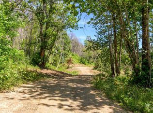 49161 McKenzie Hwy, Vida, OR