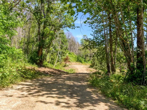 49161 McKenzie Hwy, Vida, OR 97488