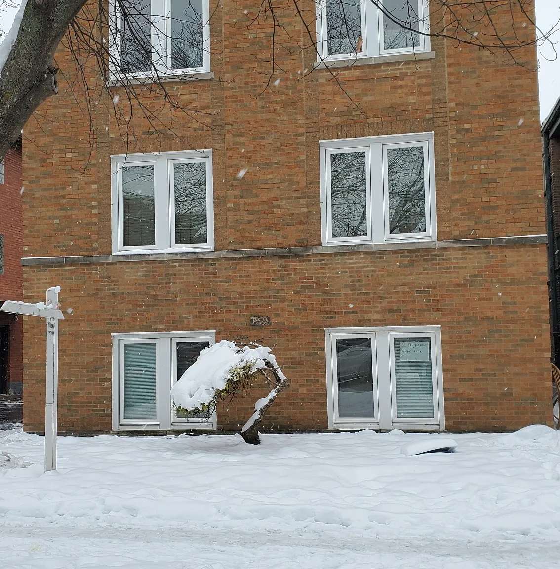 2 bed, 1000 sqft, $1,550 — Photo 1