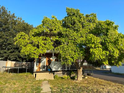 548 N Oak St, Colville, WA, 99114