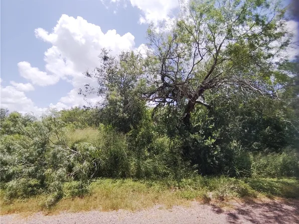 2 Thunderbird Trl, Sandia, TX 78383