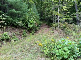 117 Green Hollow Ln, Brevard, NC 28712