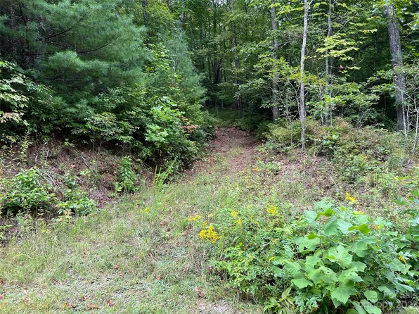 117 Green Hollow Ln, Brevard, NC 28712