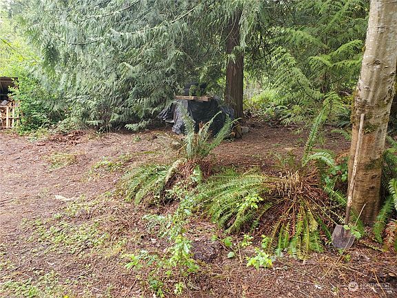 5th image of 14616 243rd Avenue E