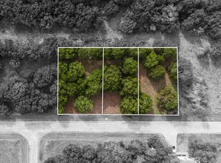 45025 Fringewood Dr, Whitney, TX 76692