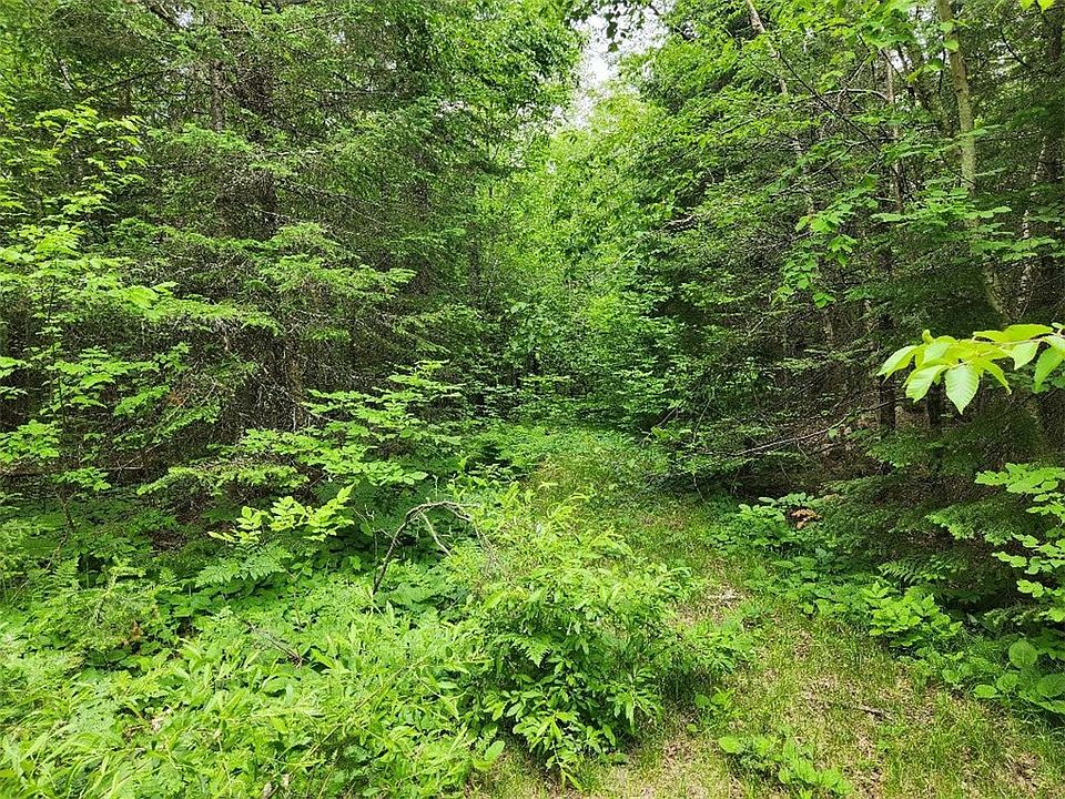 2nd image of Lot 5 Barker Lake Road