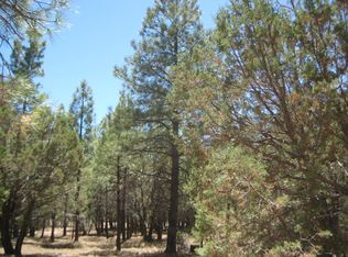 1819 Valley View Dr, Happy Jack, AZ 86024