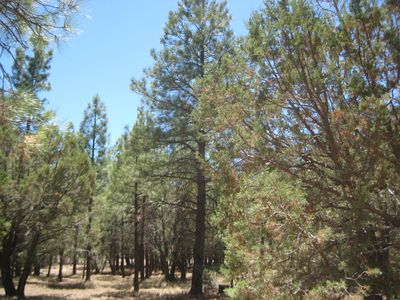 1819 Valley View Dr, Happy Jack, AZ, 86024