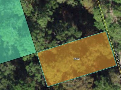 Rochelsie Rd, Crawfordville, FL, 32327