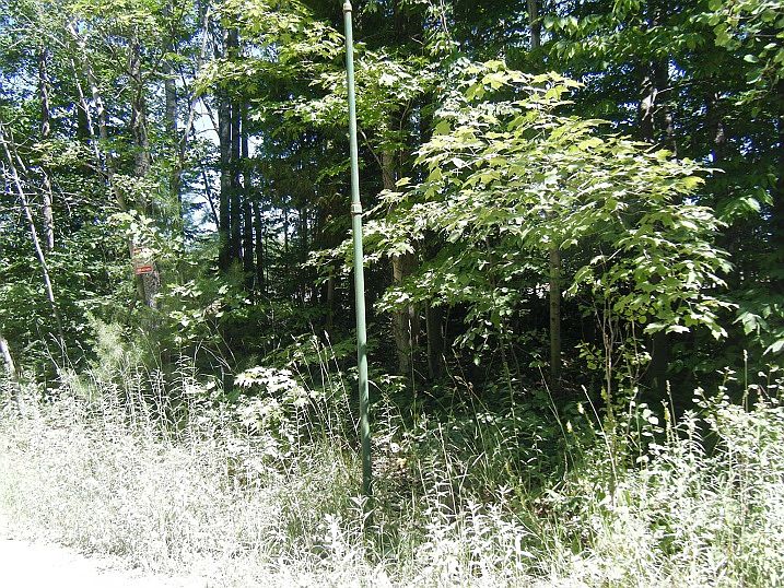 1st image of 4 Forest Dr